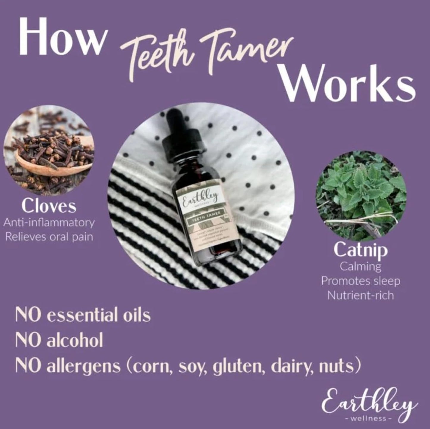 Teeth Tamer, Teething Relief for Babies & Kids, Soothes Drooling, Gum Discomfort & Irritability, Organic Herbal Formula, Essential Oil Free, Alcohol-Free & Sugar-Free (1.69 Oz)