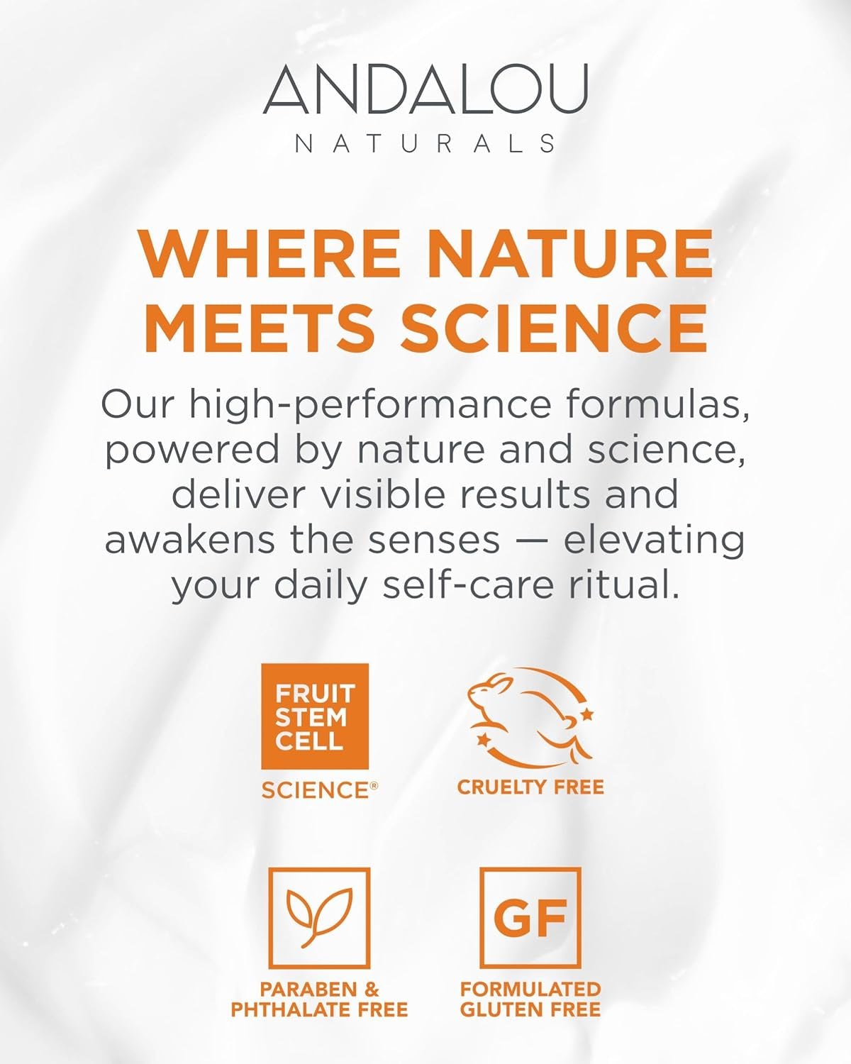 Illuminating Facial Toner Clementine + Vitamin C - Hydrating Face Mist Toner to Balance & Refresh Skin - with Fruit Stem Cell Complex plus Aloe Vera - 6 Fl Oz